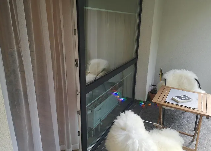 By The Linden Trees * Vilnius