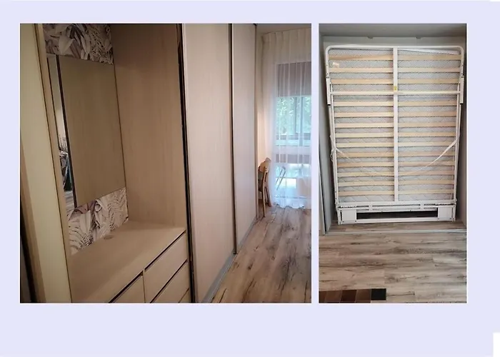 By The Linden Trees * Vilnius